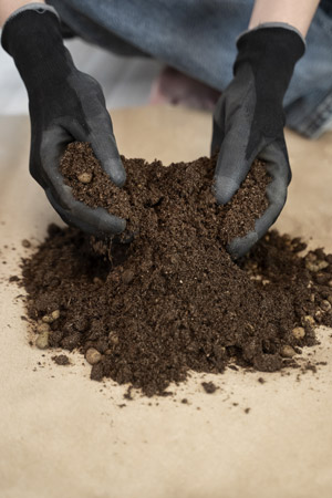 Soil Enzyme